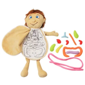 Human-Body-Model-Anatomy-Doll-Soft-Doll-Toy-Anatomical-Medical-Internal-Organs-Awareness-Learn-Early-Education.jpg_Q90.jpg_ (3)