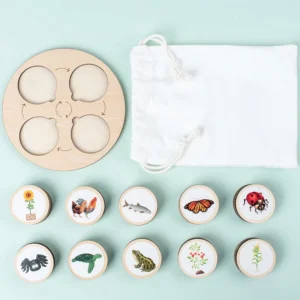 Life-Cycle-Board-Montessori-Kit-Biology-Science-Education-Toys-For-Kids-Sensory-Tray-Animal-Figure-Life.jpg_Q90.jpg_ (1)