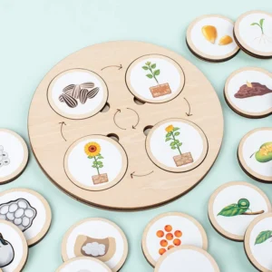 Life-Cycle-Board-Montessori-Kit-Biology-Science-Education-Toys-For-Kids-Sensory-Tray-Animal-Figure-Life.jpg_Q90.jpg_ (3)