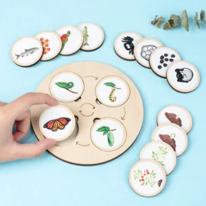 Life-Cycle-Board-Montessori-Kit-Biology-Science-Education-Toys-For-Kids-Sensory-Tray-Animal-Figure-Life.jpg_Q90.jpg_ (4)