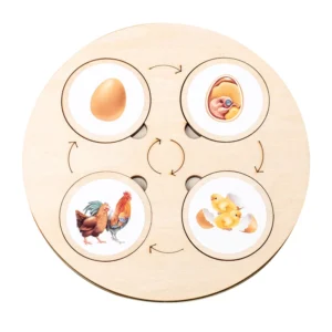 Life-Cycle-Board-Montessori-Kit-Biology-Science-Education-Toys-For-Kids-Sensory-Tray-Animal-Figure-Life.jpg_Q90.jpg_ (5)